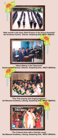 Sai Schools India Final21